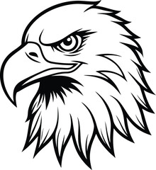 Bald Eagle Line Art – Black and White Vector Head Portrait