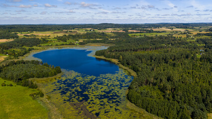Fototapeta premium Lielius lake with blooming water