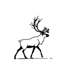Fototapeta premium Reindeer. Reindeer simple black and white line art vector logo