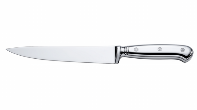Chef stainless kitchen knife with polished handle