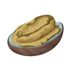 Illustration of Fresh Abalone Seafood