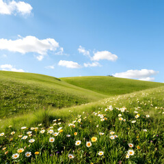 Low, grassy, hills, soft, curves, not too high, covered with fresh, green grass, small, bright flowers, cheerful, spring atmosphere.
