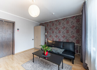 Home Living Room and Bedroom. Windows, Stylish Retro Style Apartment. Open Space Interior, Sofa, Couch and Closet, Wardrobe. Hardwood Floor and Carpet. Coffee Table and Flower.