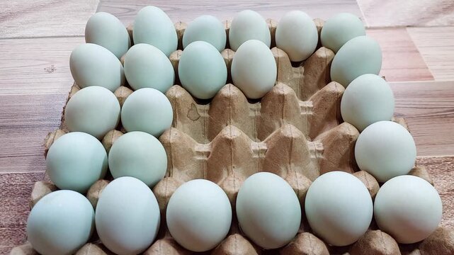 Duck eggs on the shelf