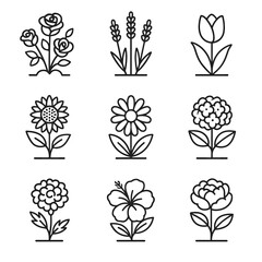 Garden daisy icons plant lavender icon bush peony tulip vector marigold hydrangea