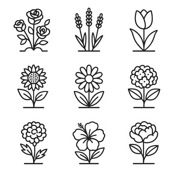 Garden daisy icons plant lavender icon bush peony tulip vector marigold hydrangea