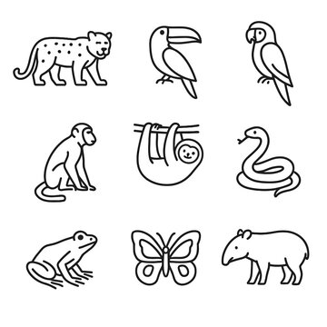 Butterfly frog rainforest vector toucan animals icons parrot tapir snake sloth icon