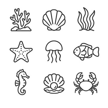Seaweed seashell clownfish underwater icon starfish icons pearl crab nature jellyfish reef