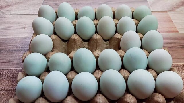 Duck eggs on the shelf
