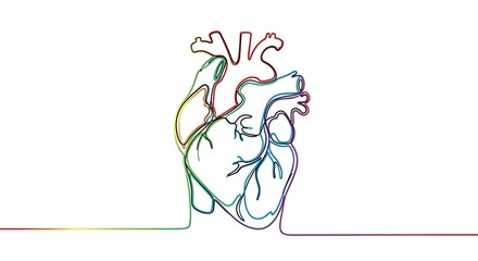 Minimalist Rainbow Heart Line Art.