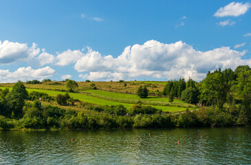 Rolling green hillside with wooden fences and scattered trees above Czorsztyn Lake. A bright summer sky with fluffy clouds creates a rural and peaceful countryside atmosphere in this natural landscape