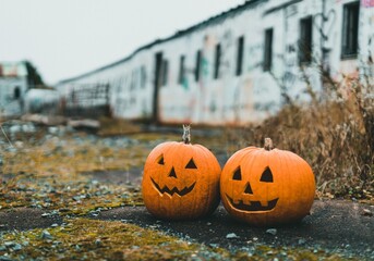 Carved Pumpkins for Halloween 