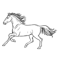 Capture the spirit of freedom and elegance with this sleek black-and-white horse illustration. Perfect for branding, apparel, or editorial layouts.