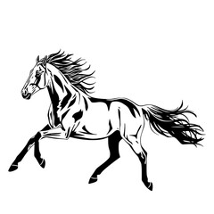 Capture the spirit of freedom and elegance with this sleek black-and-white horse illustration. Perfect for branding, apparel, or editorial layouts.