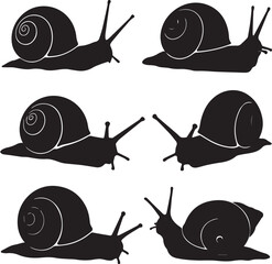 Six black silhouette snails with spiral shells on white background vector