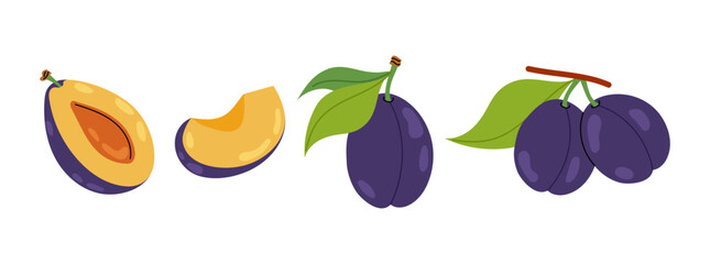 Set flat illustrations ripe plum. Sliced and whole plum on white background. Fruit. Healthy fruit snack.