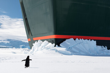 Ad&eacute;lie Penguin on Antarctic Sea Ice with Expedition Cruise Ship Bow. Adventure, Travel and Toursim Concept.