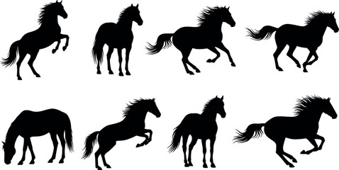 Set of Black Horse Silhouettes in Dynamic Poses Including Galloping, Rearing, Trotting, and Standing for Equine Motion Design