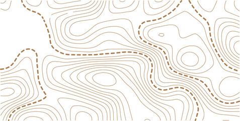 Abstract topo contour map on white background, Topographic map Topographic contour lines map seamless pattern. Geographic mountain relief diagram line wave carve pattern