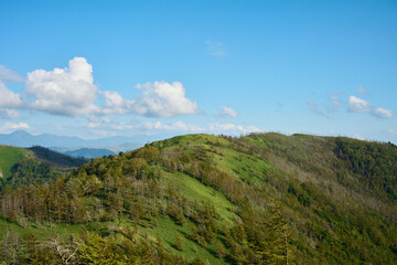 鉢伏山の登山道からみえる景色