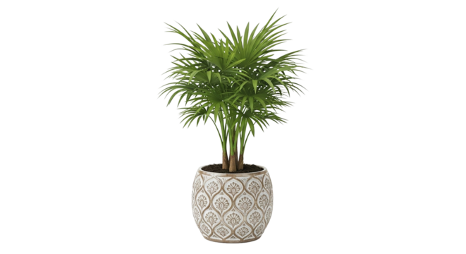Artificial areca palm tree in decorative pot isolated on transparent background