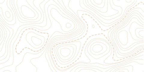 Abstract topo contour map on white background, Topographic map Topographic contour lines map seamless pattern. Geographic mountain relief diagram line wave carve pattern