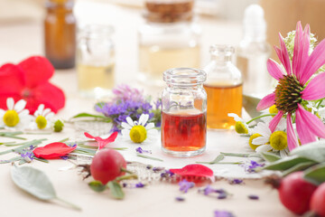 Variety of aroma essential oils in glass bottles with aromatic flowers on natural background, copy space, natural cosmetic, skin treatment, aromatherapy and menopause health concept