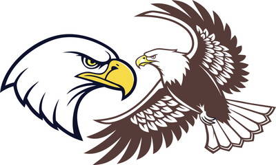 bald eagle vector illustration