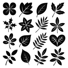 Collection of black silhouette leaf illustrations and botanical designs
