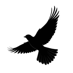 Fototapeta premium Silhouette of bird isolated on transparent background