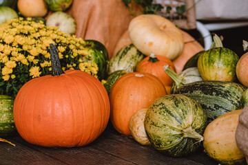 A colorful assortment of pumpkins and gourds in various shapes, sizes, and colors with yellow chrysanthemum. The image captures the essence of autumn harvest