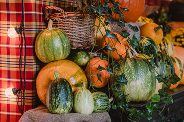 Close-up of a vibrant fall arrangement featuring various green and orange gourds and pumpkins nestled among trailing ivy. A wicker basket, warm light bulbs and red plaid fabric in the background
