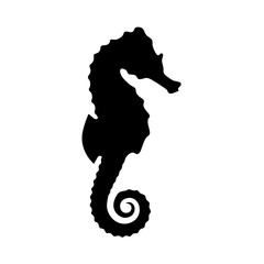 seahorse silhouette in transparent background 