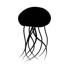 jellyfish silhouette in transparent background 
