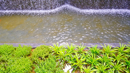 Waterfall curtain stone with green ornamental aquatic plants decoration in public park garden, High angle view with copy space
