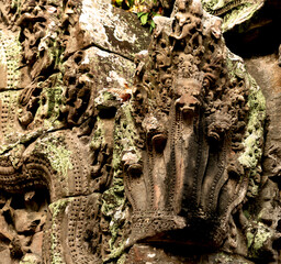 serpiente de cinco cabezas en la esquina