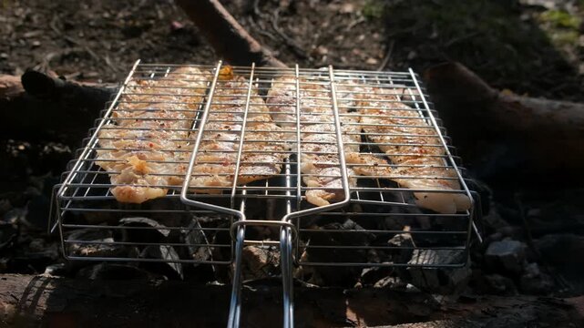 White pollock fish with spices grilling on metal grid on bonfire in nature camping. Cooking preparing frying fresh healthy food. Frying fish on hot coals. Cook cuisine on picnic, bbq barbeque.