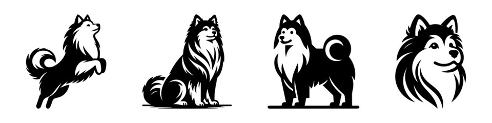 Obraz premium Modern Minimalist American Eskimo Dog Jumping Icon, Flat Silhouette of a Fluffy Pet Vector for Animal Illustration Design