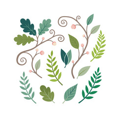 A collection of hand‑drawn watercolor natural elements, including leaves and tree branches, presented as vector illustrations suitable for graphic and web design, natural and organic products, spa