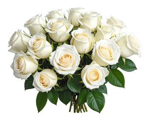 Obraz premium Create Stunning White Roses Bouquet with Transparent B