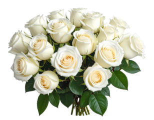  Create Stunning White Roses Bouquet with Transparent B