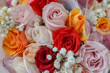 Bright bouquet of multi-colored roses in red, pink, white, and yellow with delicate gypsophila accents on pastel background. Perfect for romantic or festive themes.