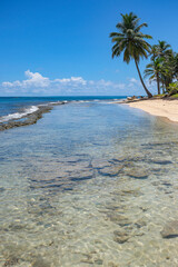Corn Island, Nicaragua - September 19, 2025: A beach in Corn Island, an archipelago located in the Caribbean Sea, Nicaragua.
