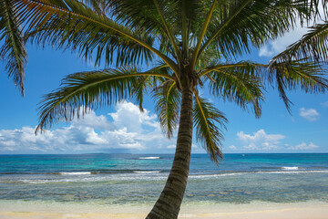 Corn Island, Nicaragua - September 19, 2025: A beach in Corn Island, an archipelago located in the Caribbean Sea, Nicaragua.