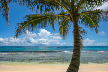 Corn Island, Nicaragua - September 19, 2025: A beach in Corn Island, an archipelago located in the Caribbean Sea, Nicaragua.