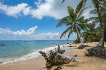 Corn Island, Nicaragua - September 19, 2025: A beach in Corn Island, an archipelago located in the Caribbean Sea, Nicaragua.