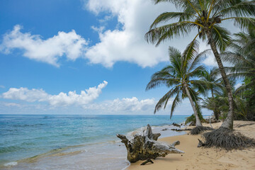 Corn Island, Nicaragua - September 19, 2025: A beach in Corn Island, an archipelago located in the Caribbean Sea, Nicaragua.