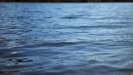 Close up view on lake with small waves at sunny day. Calm scenery of pond at summer season. Beautiful nature landscape. Concept of tranquility scene. Slow motion