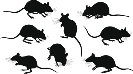 Rat silhouette set, rodent animal vector, wildlife illustration poses, small mammal design, unique nature clipart