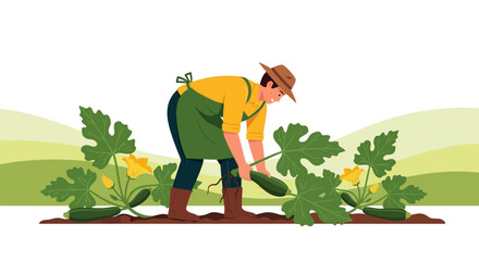 Gardener Harvesting Fresh Zucchinis From Garden Depicting Manual Labor and Cultivation